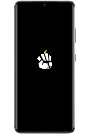 Loading into the app