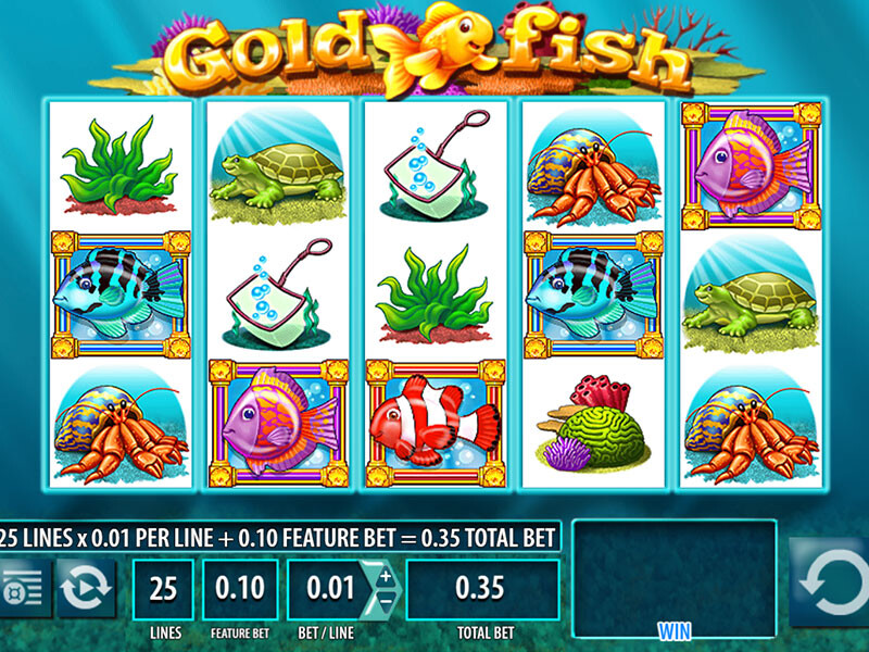 What Is Goldfish Casino Slots?