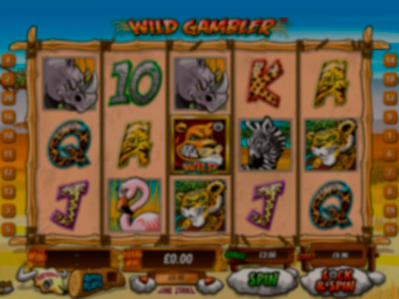 Play Wild Gambler Slot Game